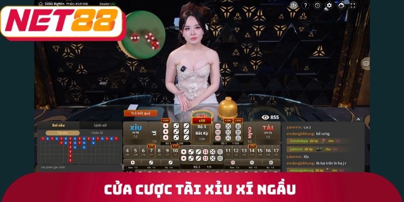 Cửa cược tài xỉu xí ngầu