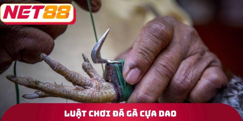 Đá Gà Cựa Dao Net88 - Tiêu Chí Mà Một Loại Vũ Khí Cần Có 3 Luật chơi đá gà cựa dao