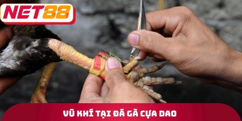 Đá Gà Cựa Dao Net88 - Tiêu Chí Mà Một Loại Vũ Khí Cần Có 2 Vũ khí tại đá gà cựa dao